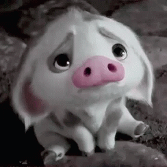 sadpiggy.gif.7cdca84db3e8aaf1cf4ae5b0e8388ccf.gif
