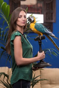 Laurène Chapuis - voodoo9.jpg