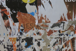 FranFashionista's avatar