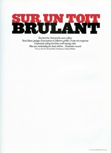 CitizenKInternational_Fall2003_SurUnToitBrulant_02.jpg