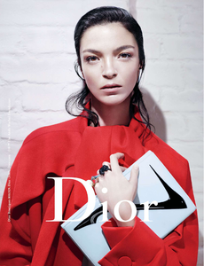 Vanderperre_Dior_Fall_Winter_13_14_02.thumb.png.8d58235ec890cf29fb6fe021a86a6b5d.png