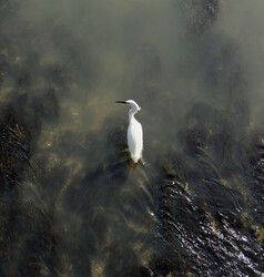 cooper_jane's avatar