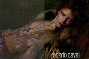 1512647636_Mert__Marcus_Roberto_Cavalli_Fall_Winter_04_05_03.thumb.png.9e93d41e2e05fb237485a384529a4955.png