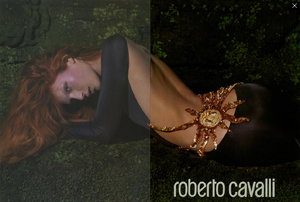 964619338_Mert__Marcus_Roberto_Cavalli_Fall_Winter_04_05_04.thumb.png.0f41c0db5d612509ac831aac8f5cb6bd.png