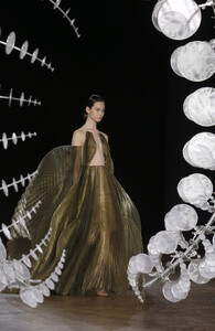 530807754_IrisVanHerpenRunwayParisFashionWeekZKvB04hov_2x.thumb.jpg.1bcb037dd6bbebd1a3252276f987c912.jpg