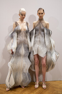 van-herpen-hc-bks-m-rf19-7370.thumb.jpg.5b0827c5d4de6f3c604bc0b25afa8685.jpg