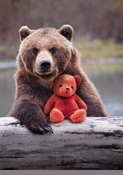 charmingbear's avatar