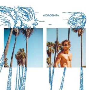 acrobata.oficial_43357496_252241945445105_924241594692677773_n.jpg