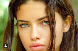 fieldofoptics's avatar