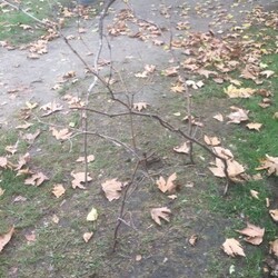 skp12684260's avatar