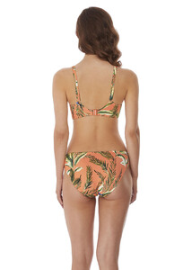 AS6864-CTE-back-Freya-Swim-Birds-In-Paradise-Cantaloupe-Bikini-Brief.jpg