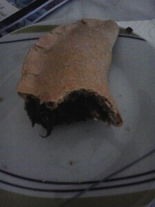 2016-02-12 13.37.13.jpg