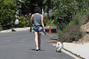         hal240420BZNimage114 .jpg