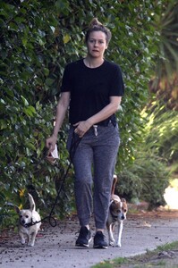       sil290420BZNimage10 .jpg