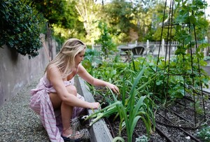         pug230420BZNimage101 .jpg