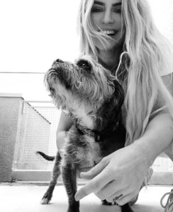 lev240420BZNimage102 .jpg