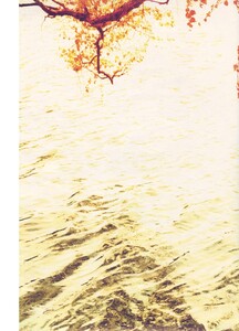 W (September 2009) - Sunday in the Park - 017.jpg