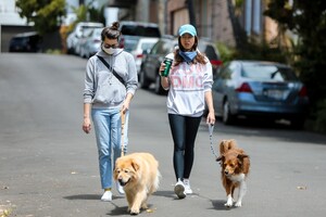         pla260420BZNimage109 .jpg