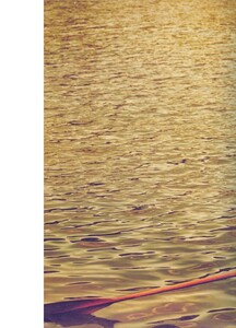 W (September 2009) - Sunday in the Park - 023.jpg