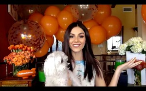        jus040520BZNimage102 .jpg