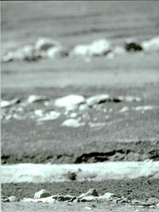 ARCHIVIO - Vogue Italia (May 1997) - Untitled - 016.jpg