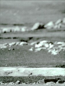 ARCHIVIO - Vogue Italia (May 1997) - Untitled - 003.jpg