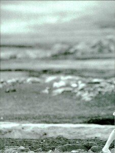 ARCHIVIO - Vogue Italia (May 1997) - Untitled - 019.jpg