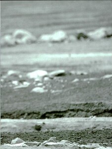 ARCHIVIO - Vogue Italia (May 1997) - Untitled - 012.jpg