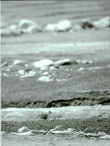 ARCHIVIO - Vogue Italia (May 1997) - Untitled - 018.jpg