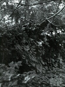 ARCHIVIO - Vogue Italia (September 2007) - Tilda Swinton - 021.jpg