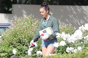        dob030520BZNimage133 .jpg