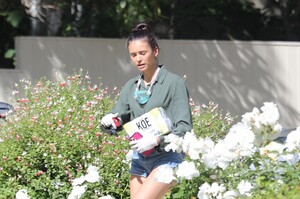        dob030520BZNimage132 .jpg