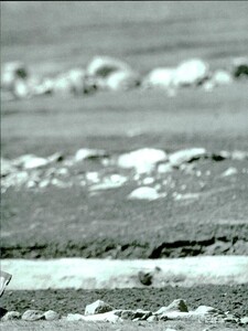 ARCHIVIO - Vogue Italia (May 1997) - Untitled - 008.jpg