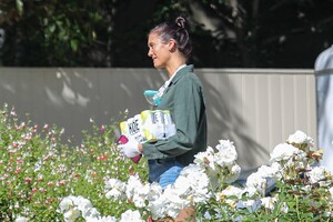        dob030520BZNimage130 .jpg