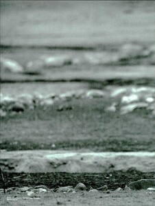 ARCHIVIO - Vogue Italia (May 1997) - Untitled - 027.jpg