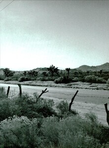 ARCHIVIO - Vogue Italia (April 2001) - Picture Story - 002.jpg