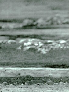 ARCHIVIO - Vogue Italia (May 1997) - Untitled - 025.jpg