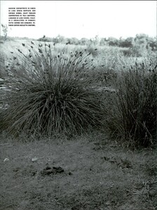 ARCHIVIO - Vogue Italia (September 1998) - Una storia da Camargue - 011.jpg