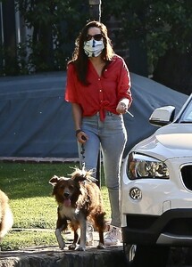       pla120520BZNimage107 .jpg