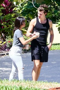        cab030520BZNimage116 .jpg