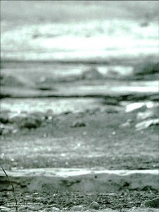 ARCHIVIO - Vogue Italia (May 1997) - Untitled - 029.jpg