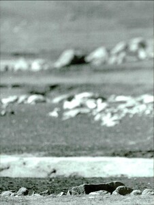 ARCHIVIO - Vogue Italia (May 1997) - Untitled - 031.jpg