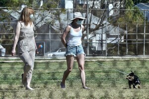        lil030520BZNimage126 .jpg