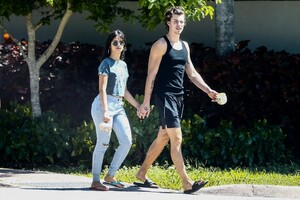        cab030520BZNimage120 .jpg