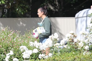        dob030520BZNimage131 .jpg