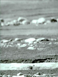 ARCHIVIO - Vogue Italia (May 1997) - Untitled - 010.jpg