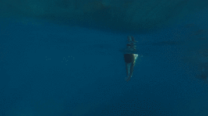 ezgif.com-gif-maker (12).gif