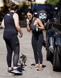      hal040820BZN image101.jpg