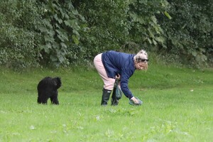      gem030820BZN image108.jpg