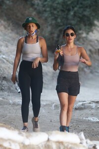         hal140820BZN image101.jpg